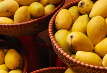 Kesar Mango Season in India: When and Where to Buy Kesar Mango