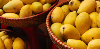 Kesar Mango Season in India: When and Where to Buy Kesar Mango